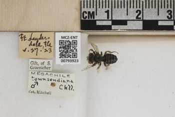Media type: image;   Entomology 793923 Aspect: Labels